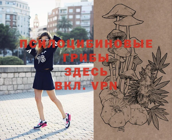 сатива Куйбышев