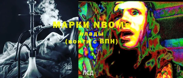 индика Балахна