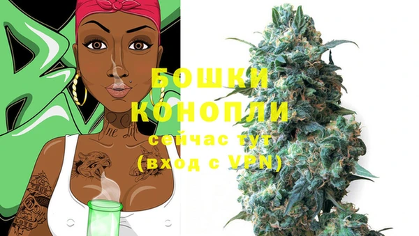 шишки Балабаново