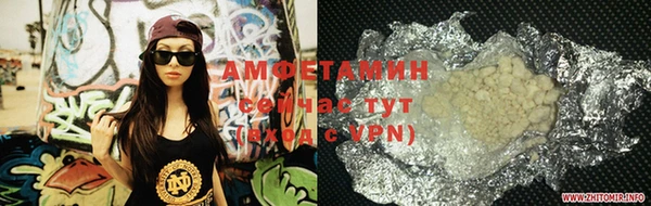 индика Балахна